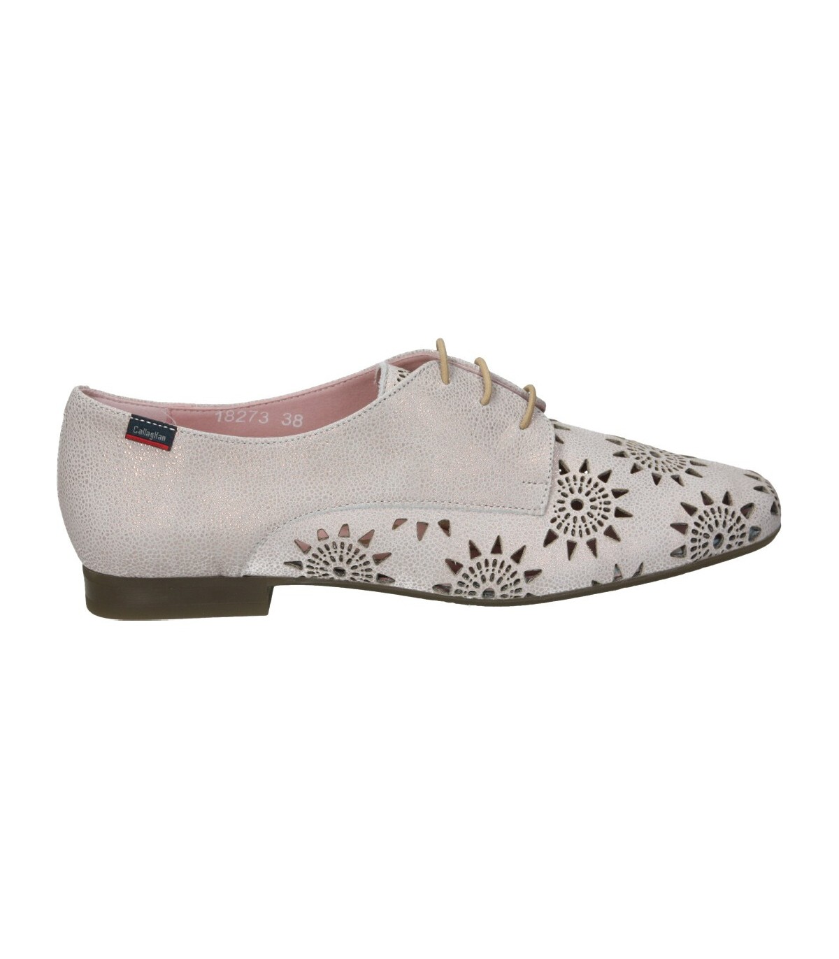 Zapatos color de casual callaghan 18273